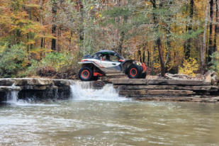 Ozark beauty