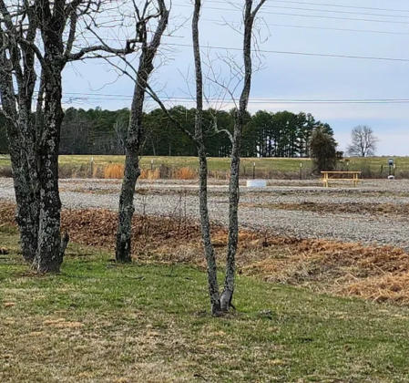 RV Sites Ozark Ridge Campground Ozark National Forest